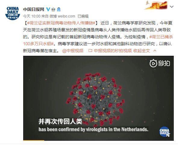 首起！荷蘭證實新冠病毒動物傳人疫情鏈條：病毒從人類傳播給水貂后再傳回人類